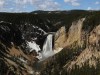 Lower Falls in Yellowstone