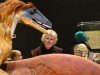 A tasty treat for the dinosaur
