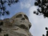 Walking the Presidential Trail, you can get up close and personal