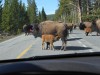 Nursing wherever they want