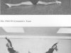 Photo-pg-22