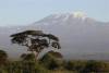 Mt Kilimanjaro at Sunset